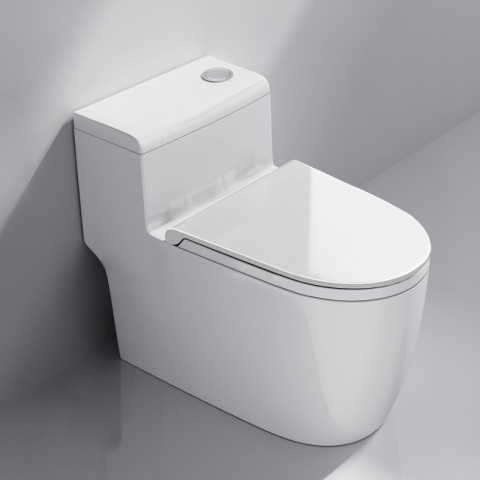 Bệt vệ sinh liền khối W002